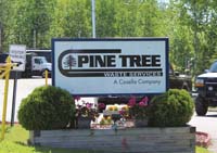 Pine Tree Waste